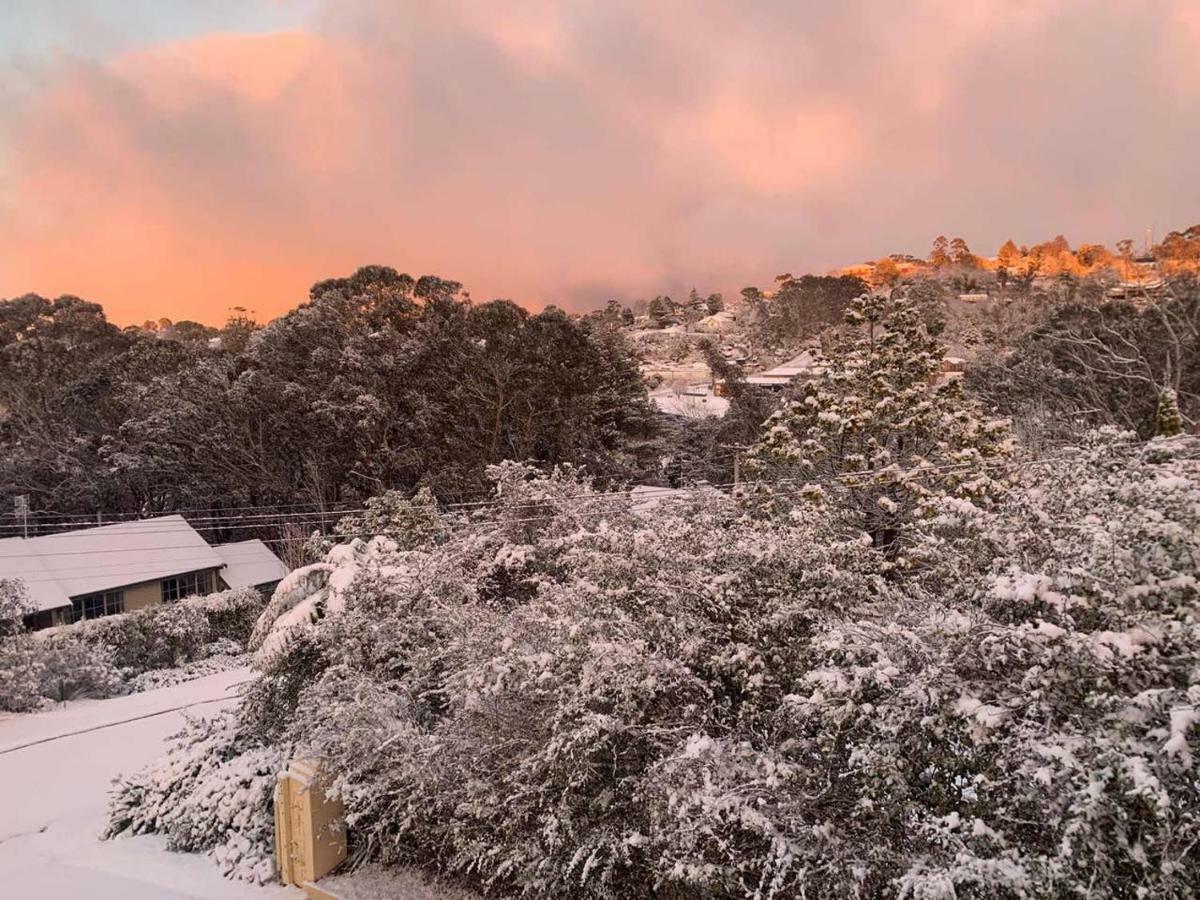 Sunflower Cottage Katoomba Dış mekan fotoğraf